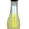 Kameizumi Konatsu Liqueur (500ml)