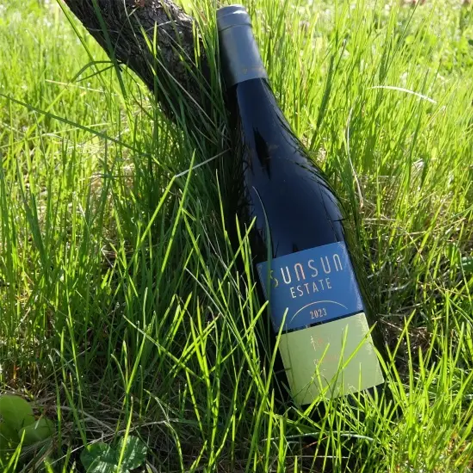 Sun Sun Kakizawa Chardonnay Naked 2023 (750ml)