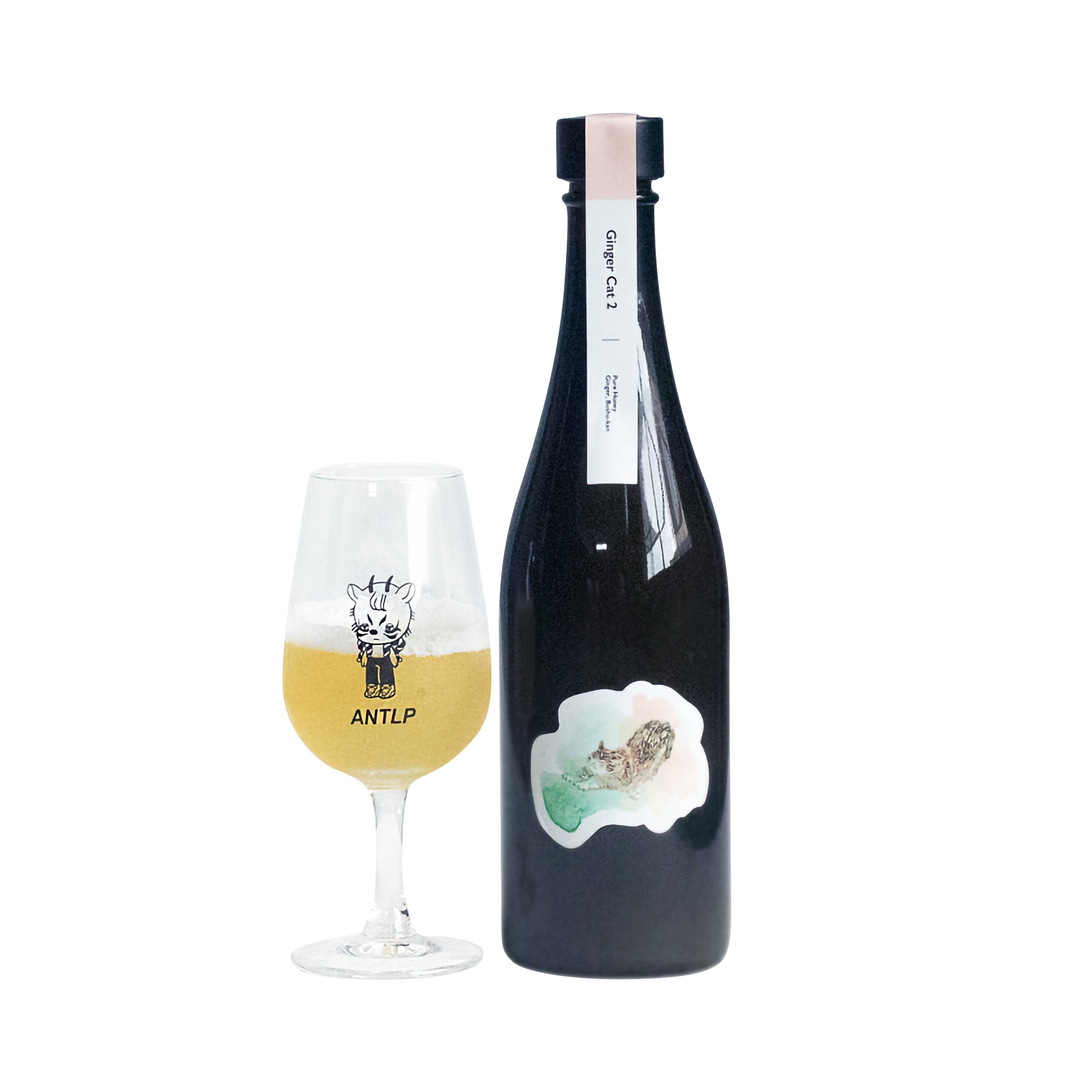 Antelope Ginger Cat 2