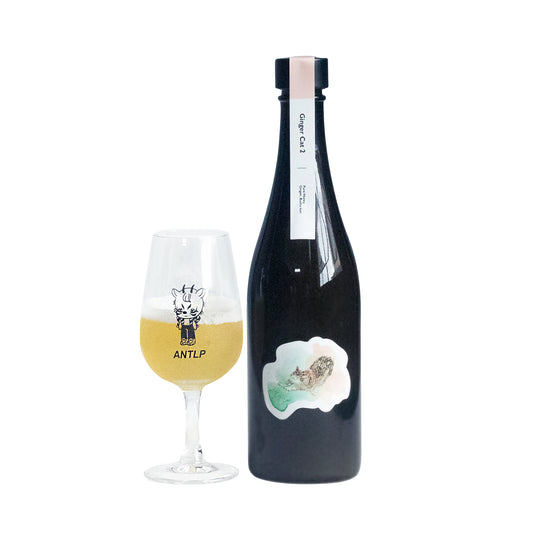 Antelope Ginger Cat 2