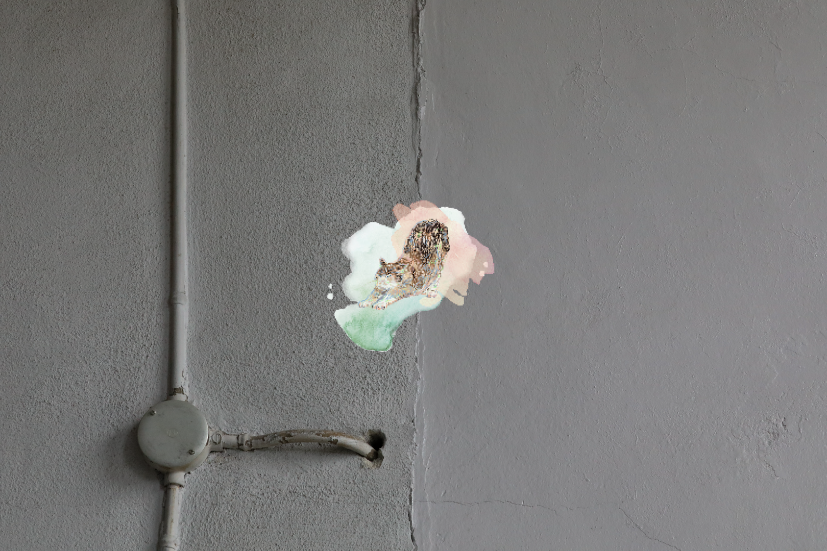 Antelope Ginger Cat 2 Keg (12.5L)